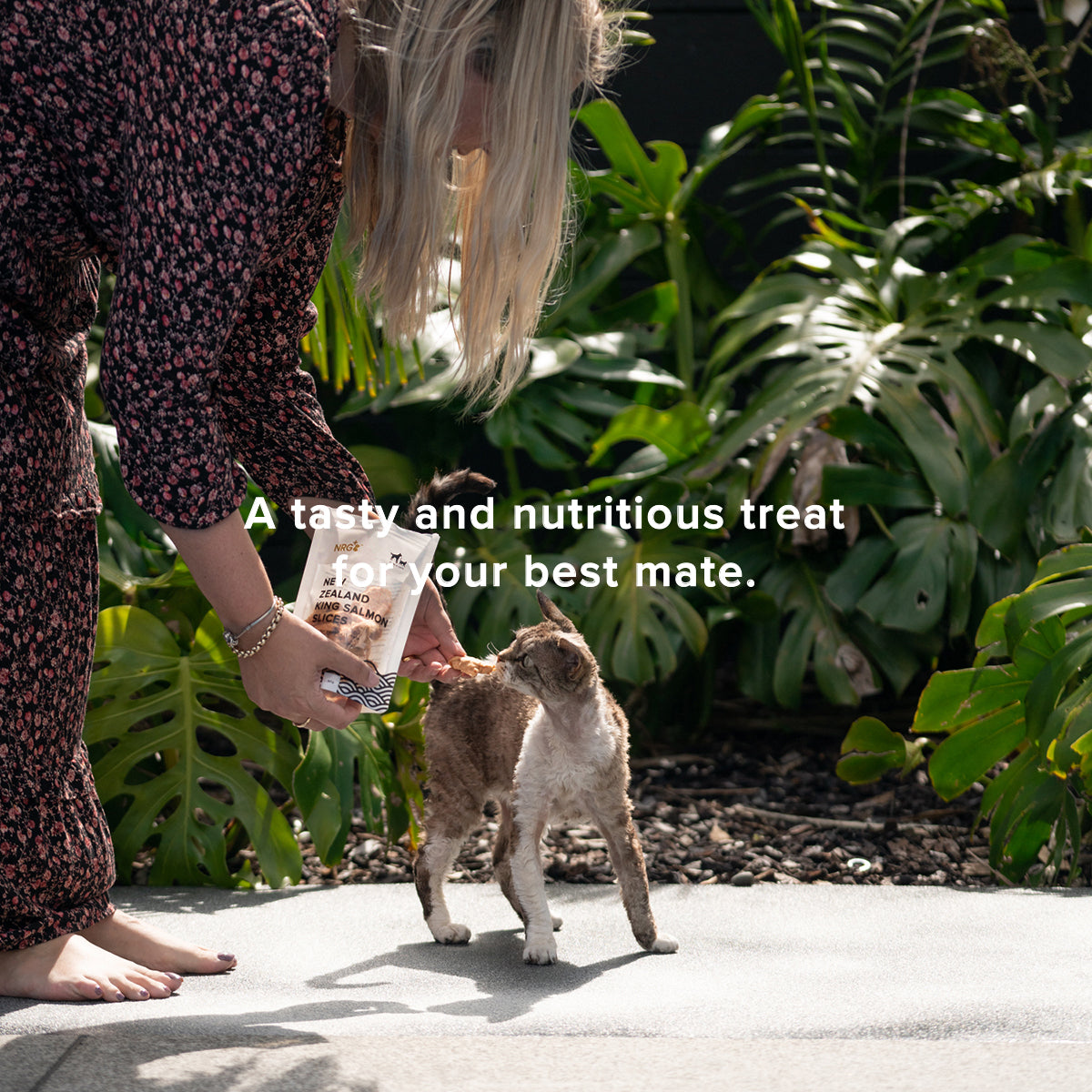 cat eating a Freeze Dried Salmon Slices from a woman's hand outdoors