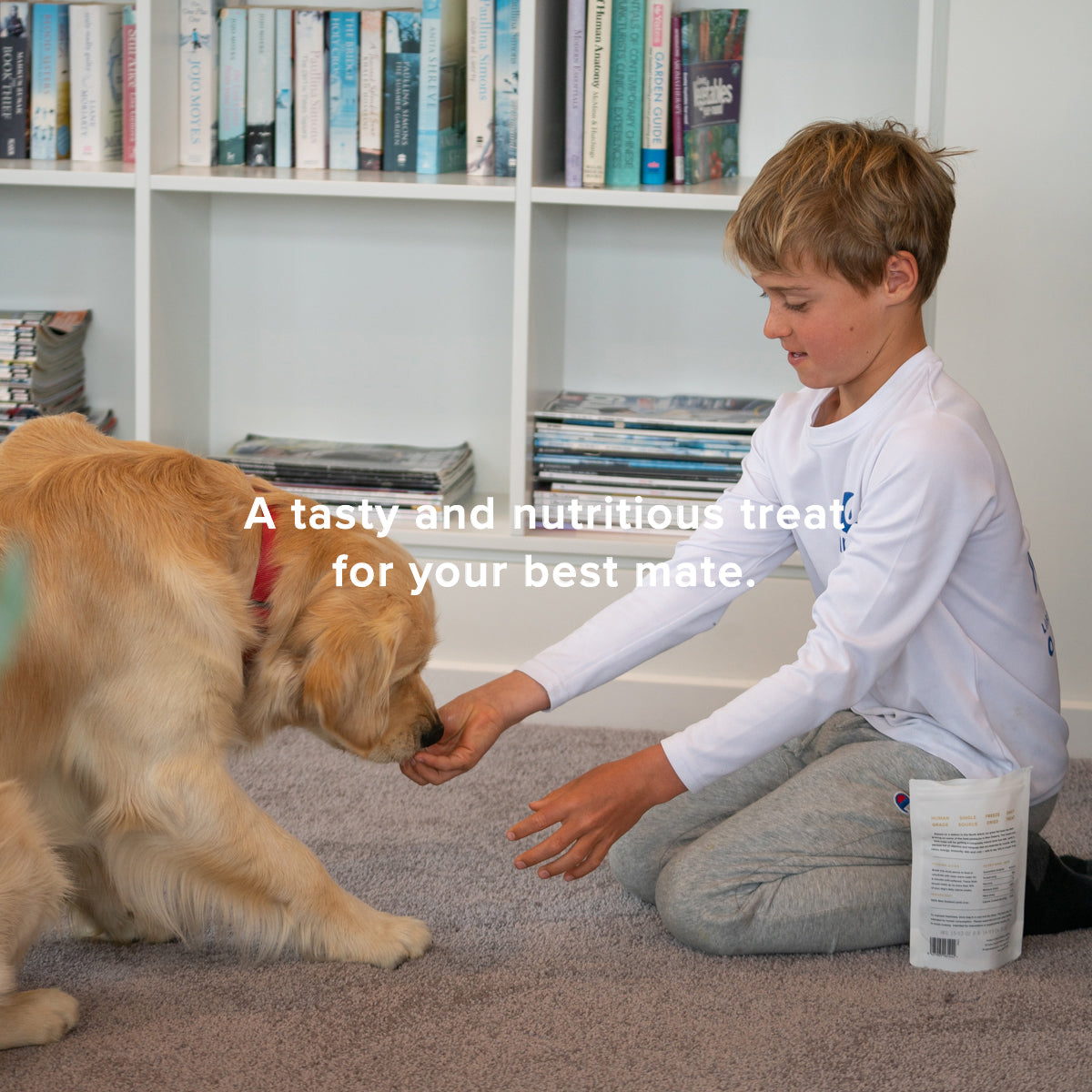 dog eating treat from kids hand, home library