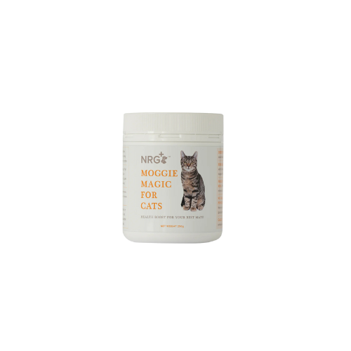 product render front of nrg-cat-supplement-with-pre-biotic