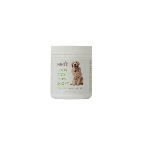 front image of NRG Dog Supplement Pre Biotic