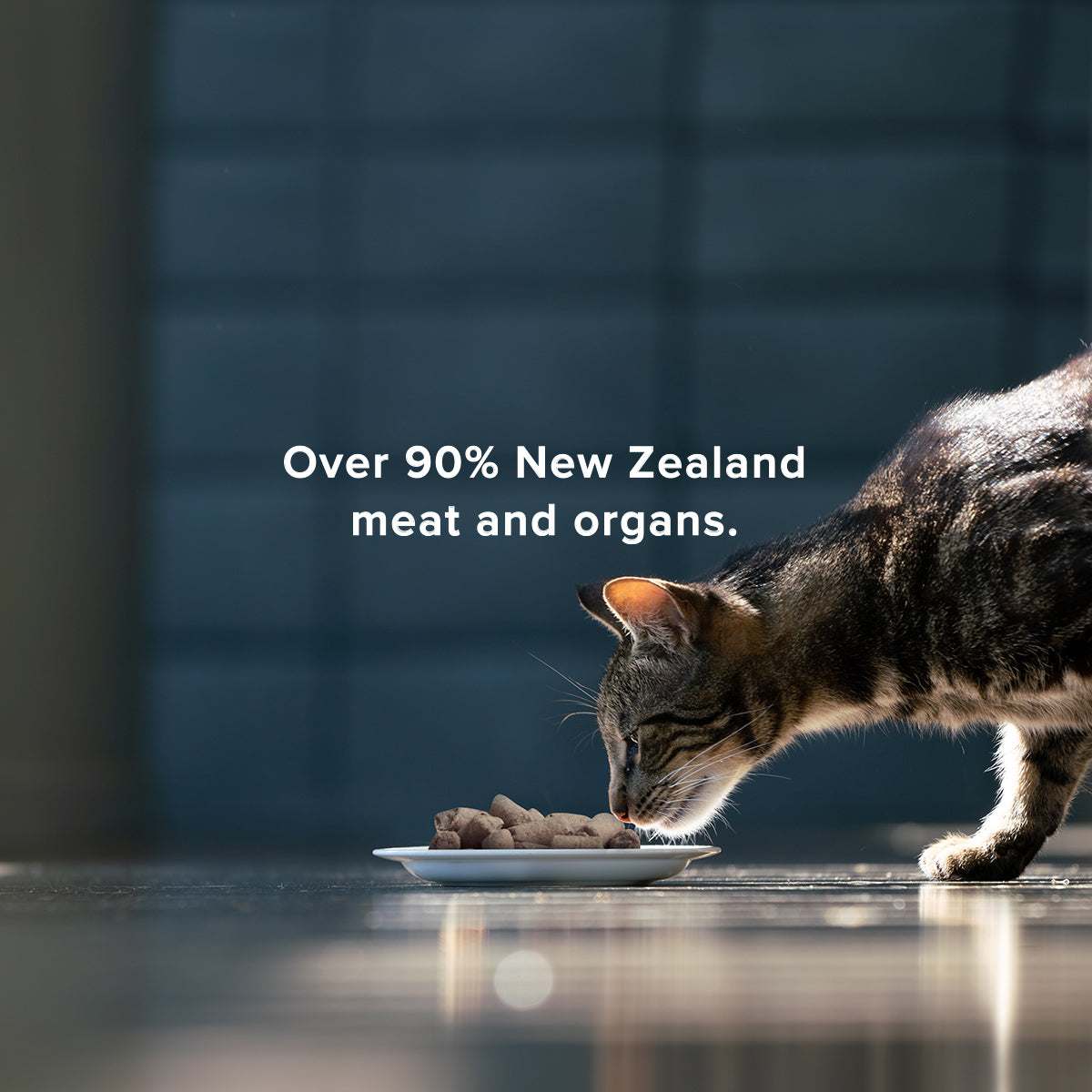 cat eating in a bowl, over 90% new zealand meat and organs