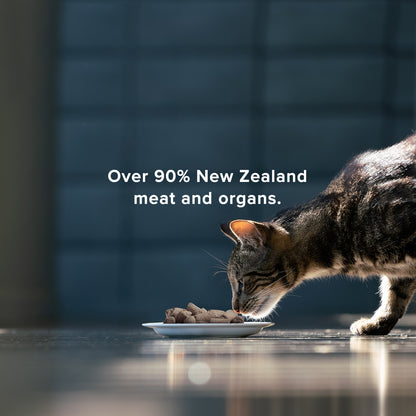 cat eating in a bowl, over 90% new zealand meat and organs